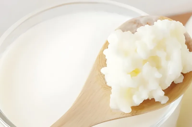 Kefir de Leite
